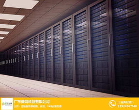 服务器租用 bgp服务器租用 盛网科技 优质商家