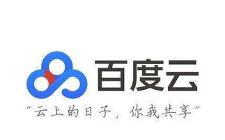 国内专业云服务器租用一年多少钱